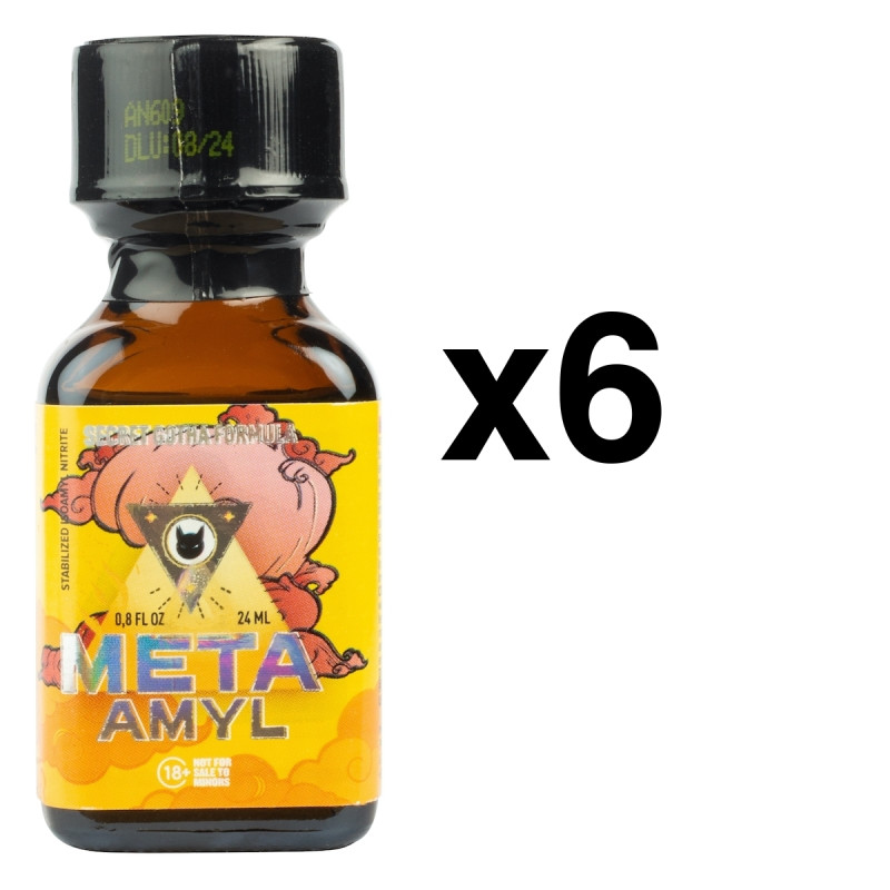 BGP Leather Cleaner META AMYL 24ml x6